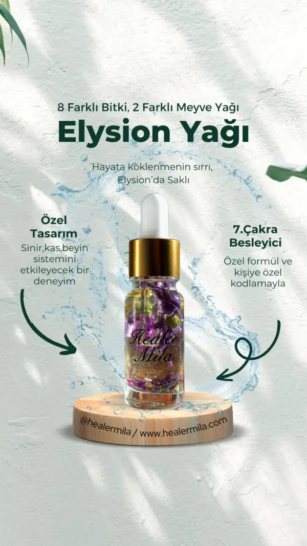 elysion