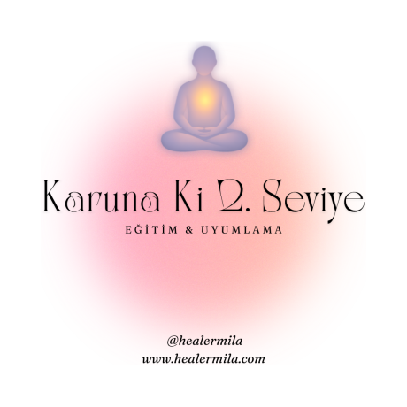 karunaki2seviye