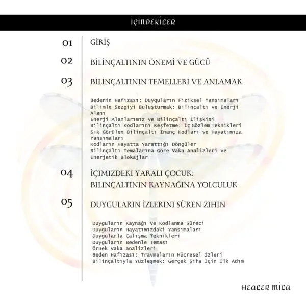 İÇİNDEKİLER1