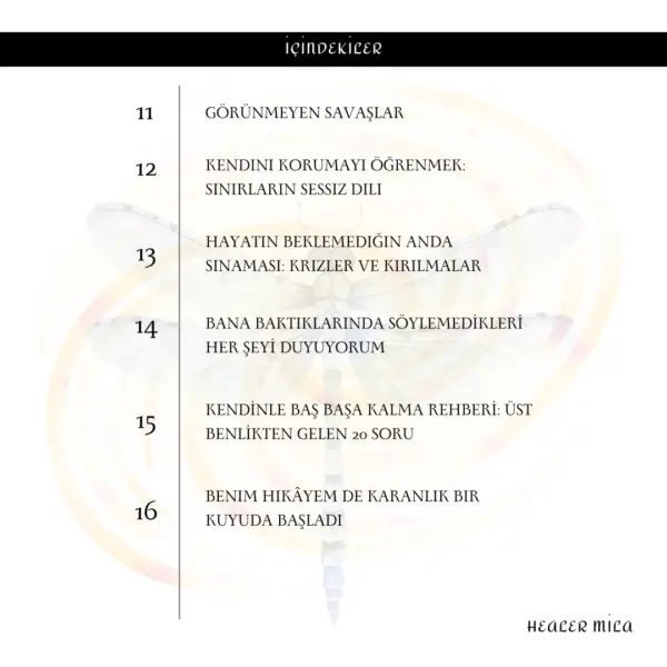 İÇİNDEKİLER3